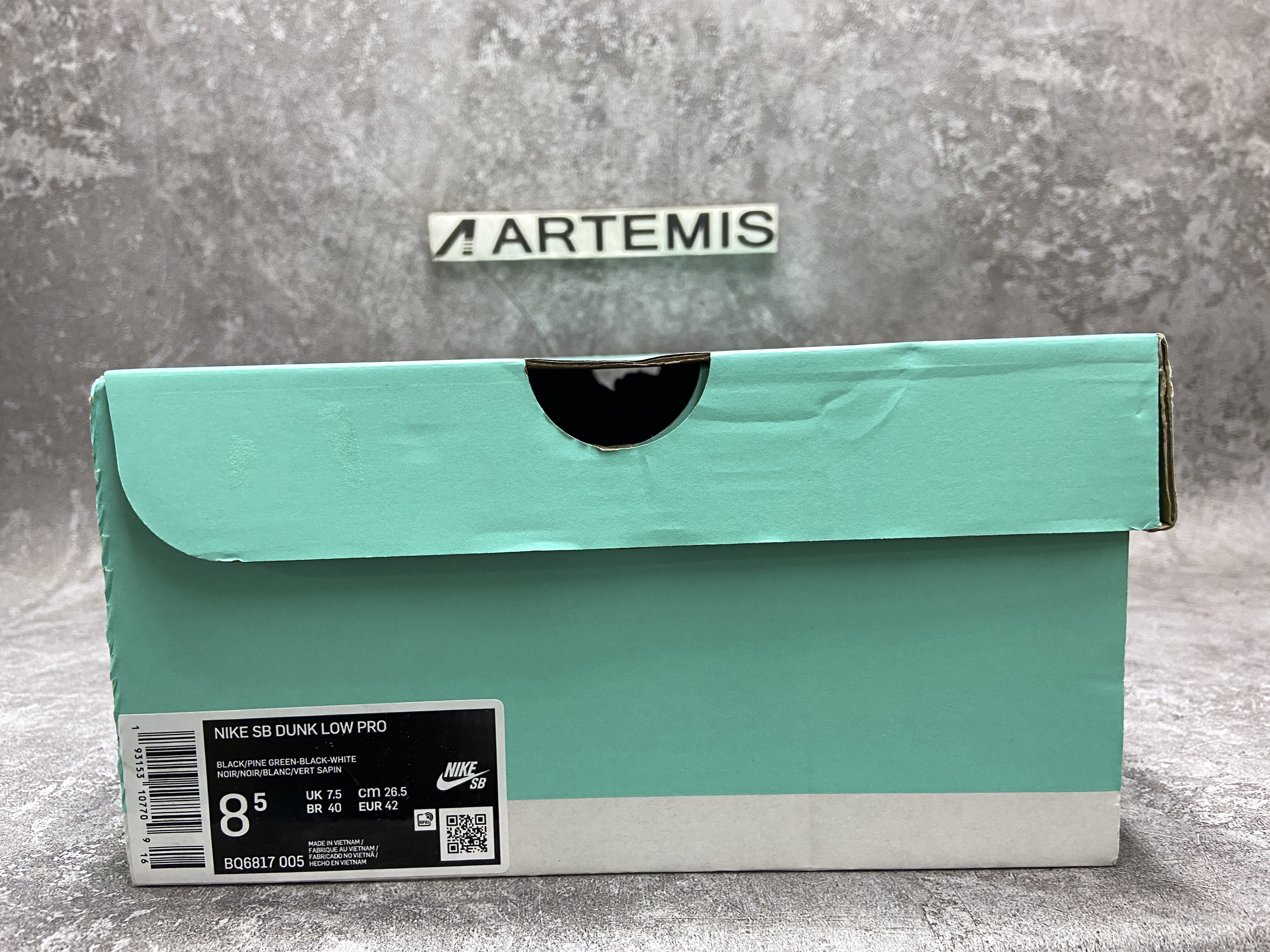 Nike Dunk Low Pro SB