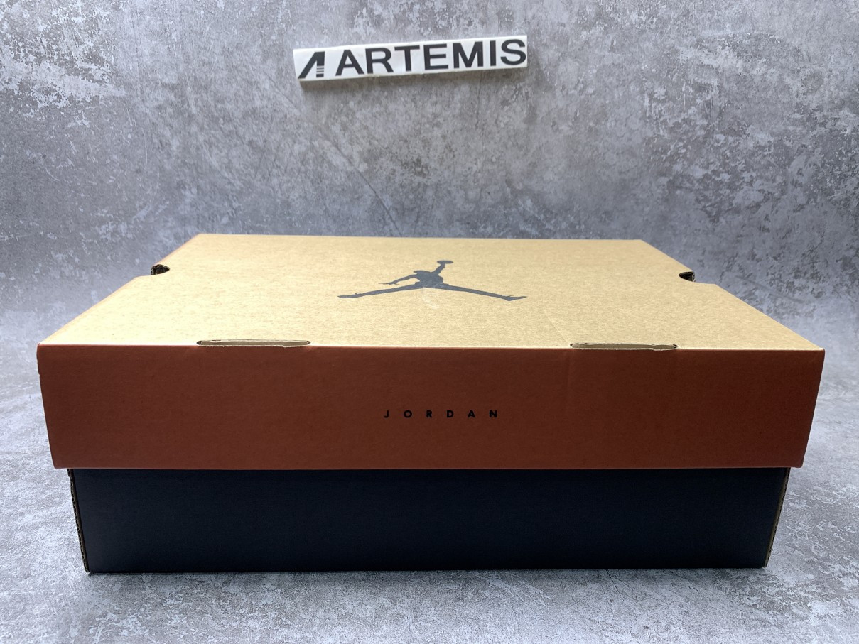 Air Jordan 12 Retro Twist