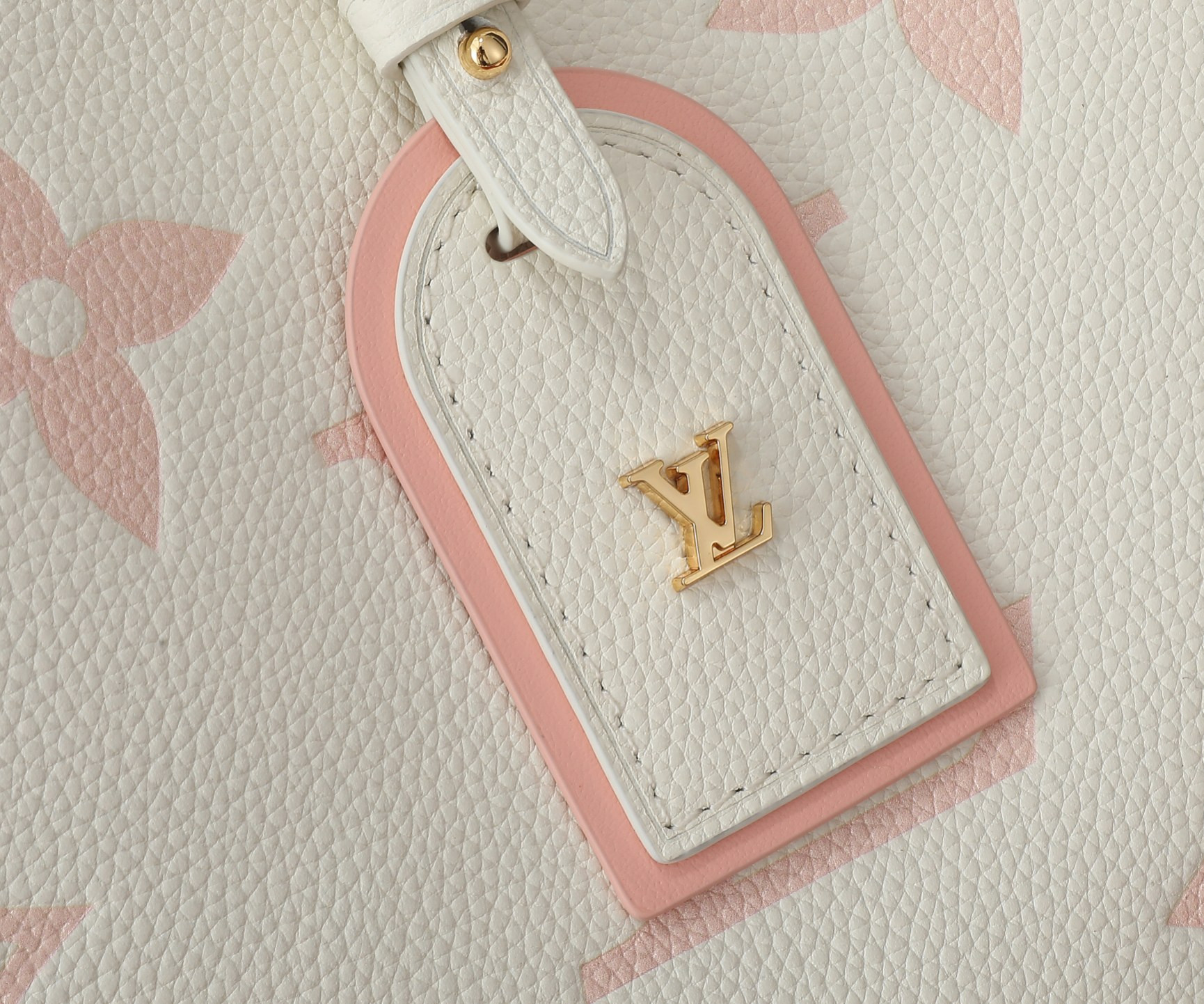 LV CarryAll PM M24141 11.6x9.4x4.7 inches